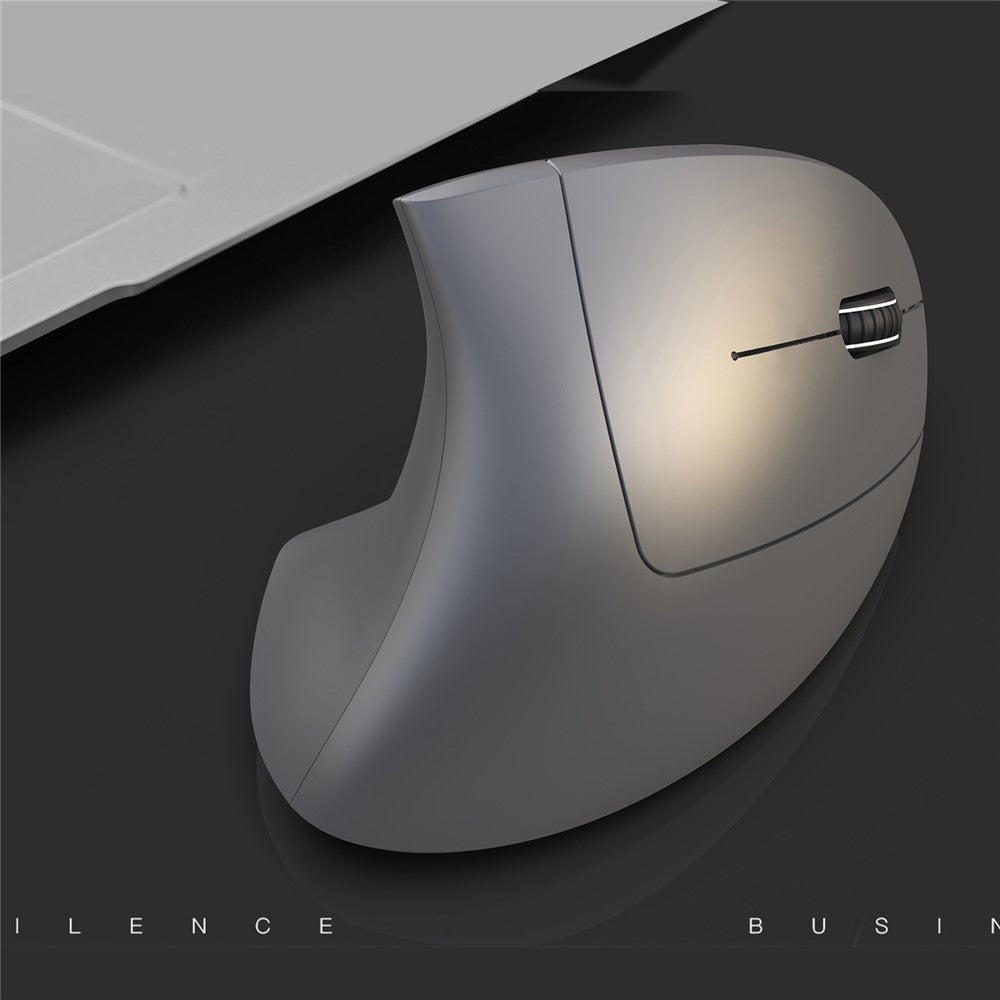 Vertical Ergonomic Optical Mouse HXSJ T29