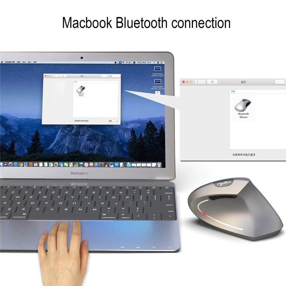 Vertical Ergonomic Optical Mouse HXSJ T29