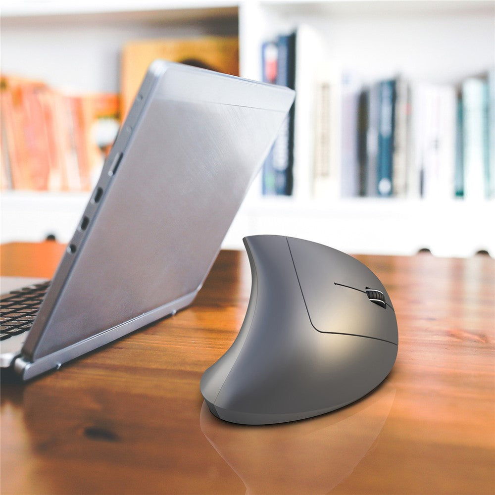 Vertical Ergonomic Optical Mouse HXSJ T29