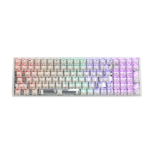 Keyboard Mechanical Y-FRUITFUL K10  100-Key Type-C Wired