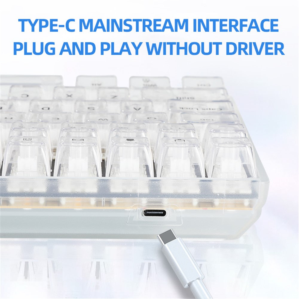 Keyboard Mechanical Y-FRUITFUL K10  100-Key Type-C Wired