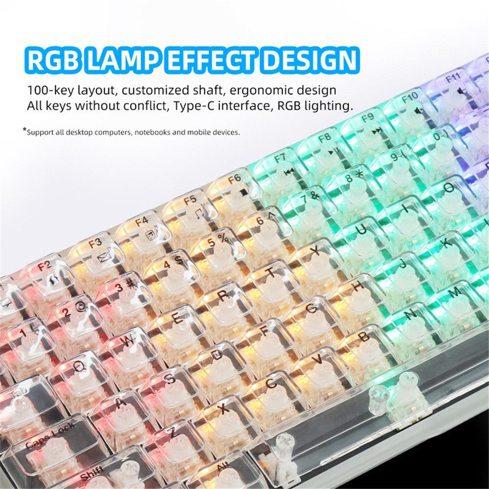 Keyboard Mechanical Y-FRUITFUL K10  100-Key Type-C Wired