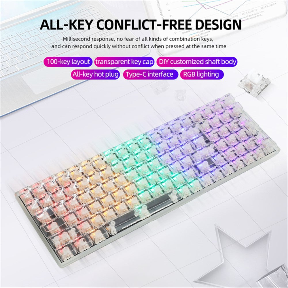 Keyboard Mechanical Y-FRUITFUL K10  100-Key Type-C Wired