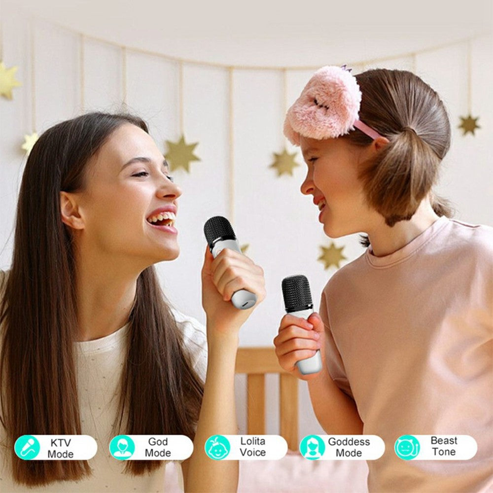 Karaoke Speaker Y15  with 2 Microphones