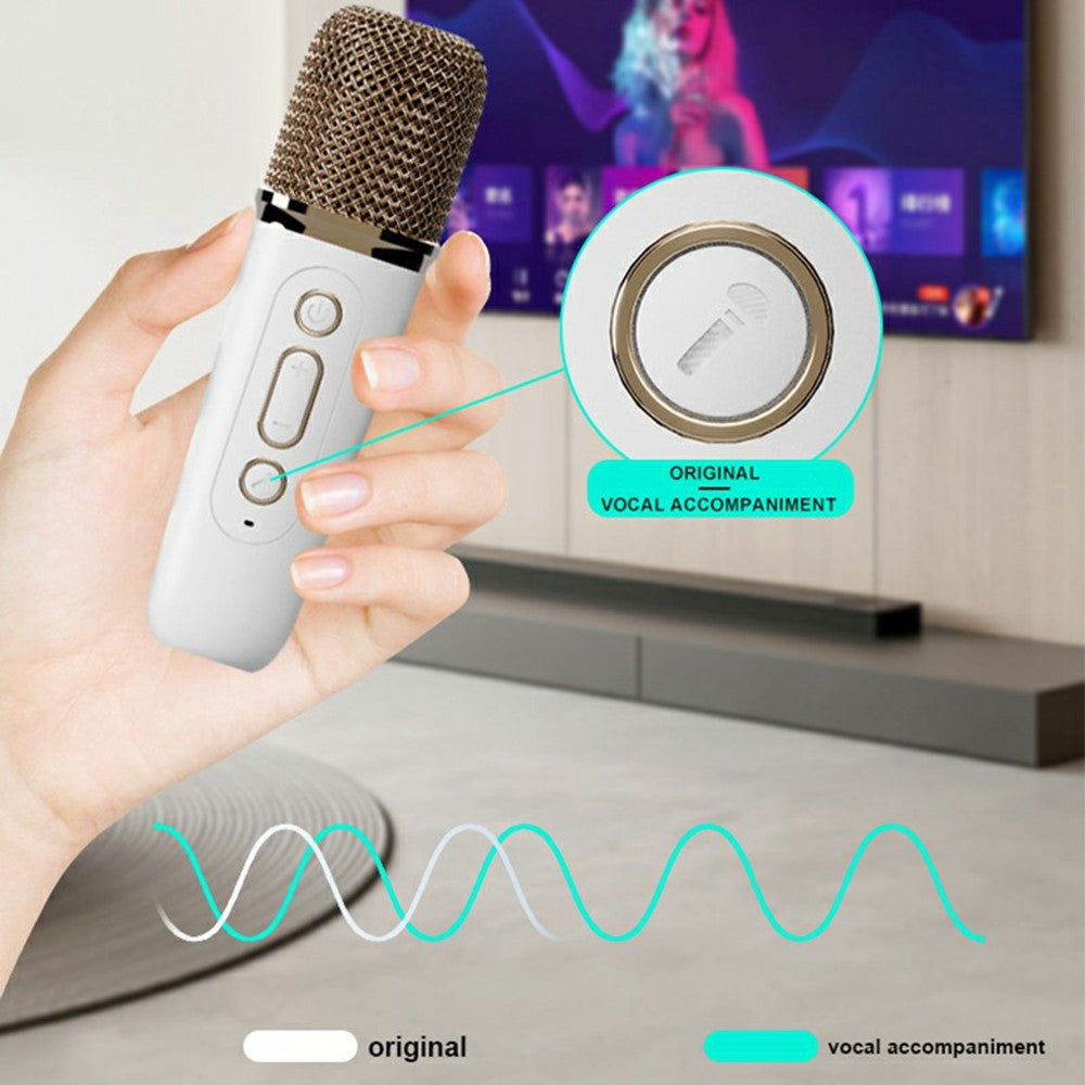 Karaoke Speaker Y15  with 2 Microphones