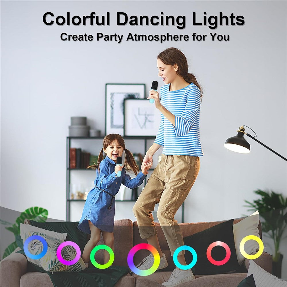 Karaoke Speaker K29 with 2 Microphones