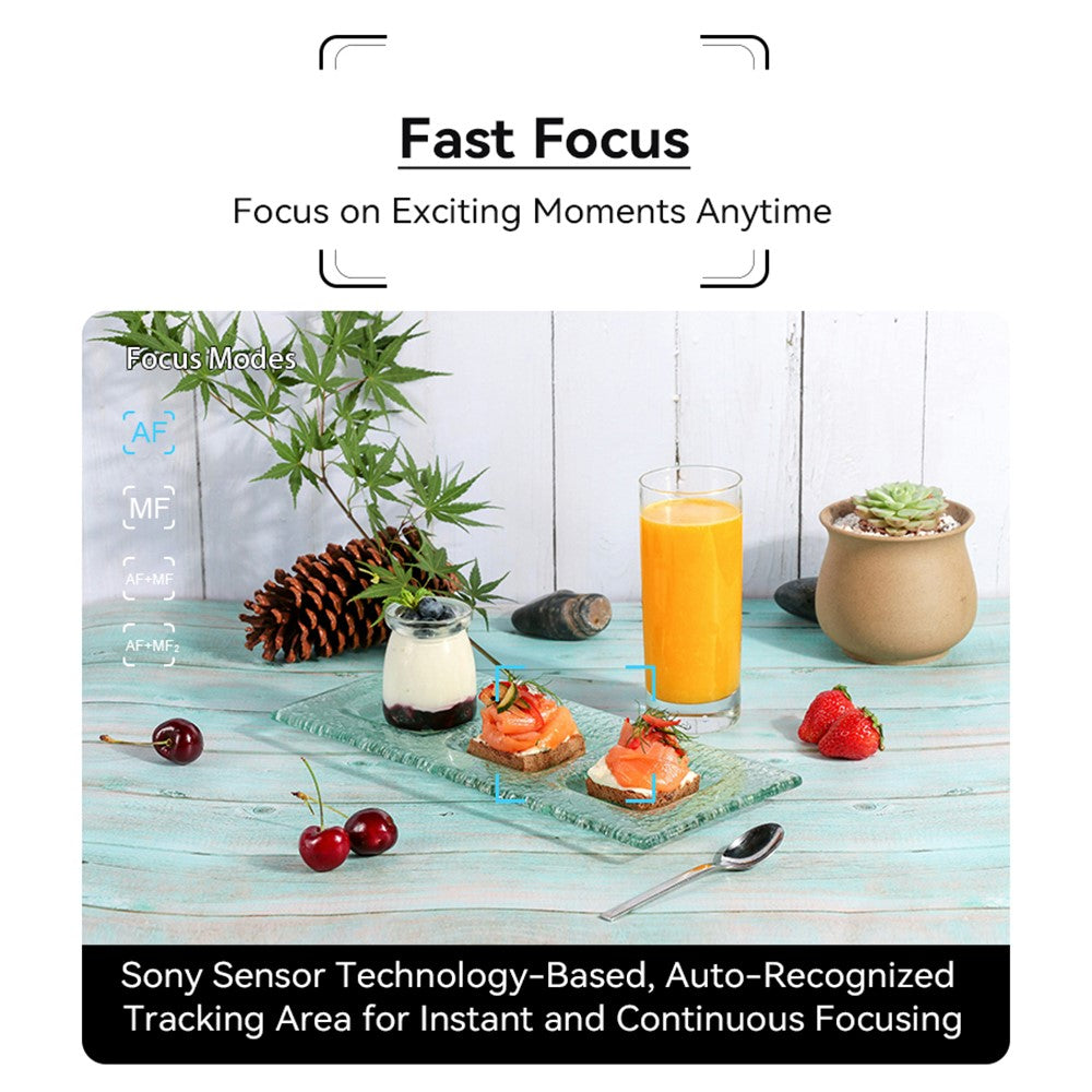 Mirrorless Camera ORDRO G730