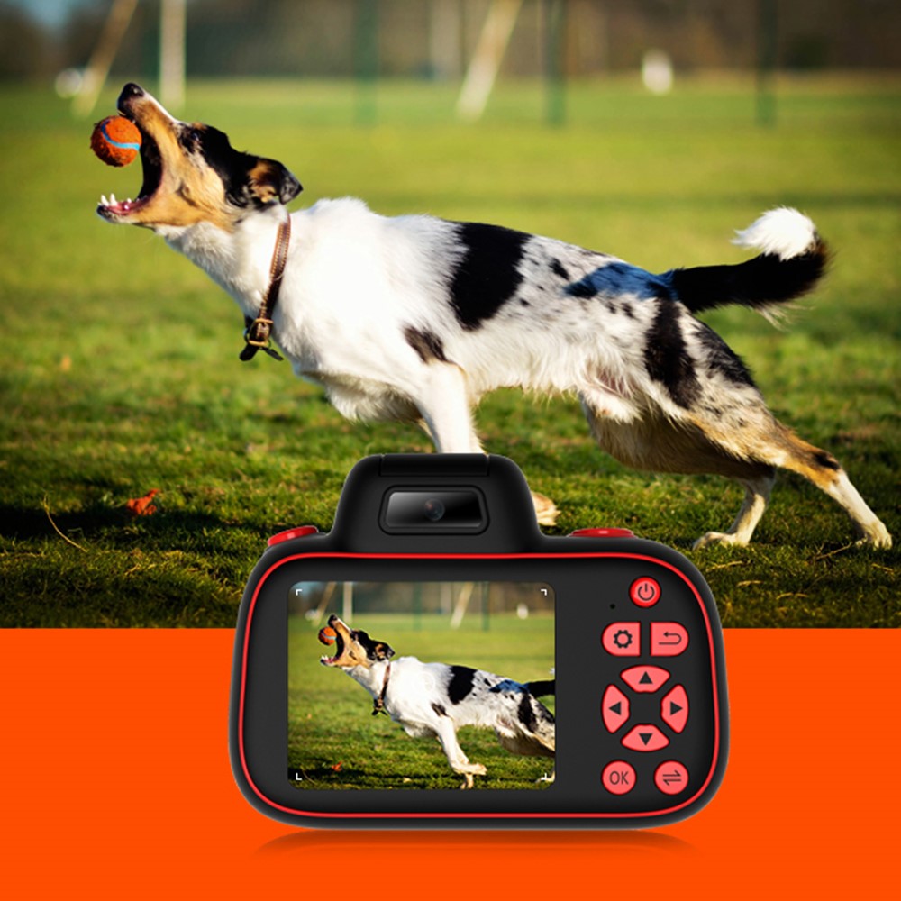 Mirrorless Camera D6PRO  4K Video Recorder